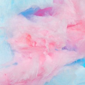 Meet your Posher, Kendall